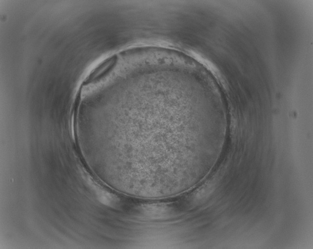 X0000068891272200605122024