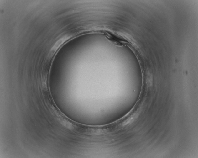 X0000068891273200605122024