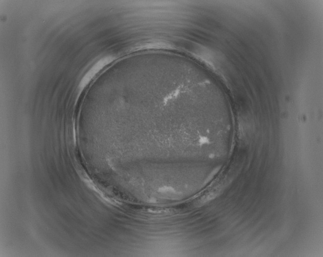 X0000068891274200605122024