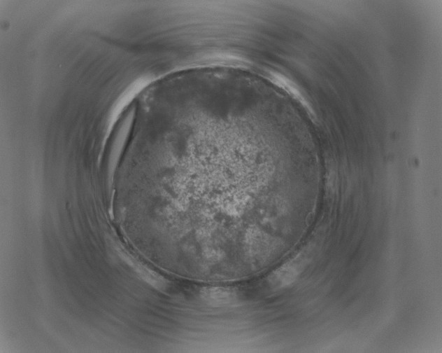 X0000068891275200605122024