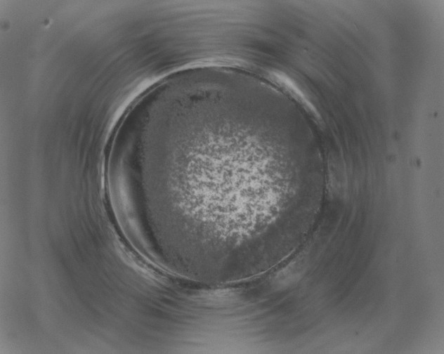 X0000068891276200605122024