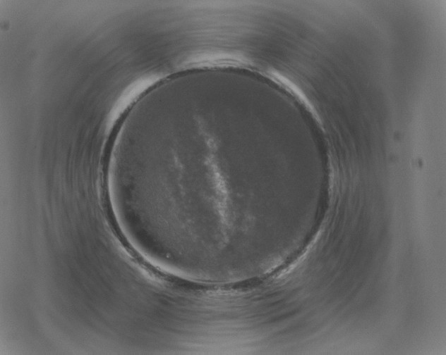 X0000068891277200605122024