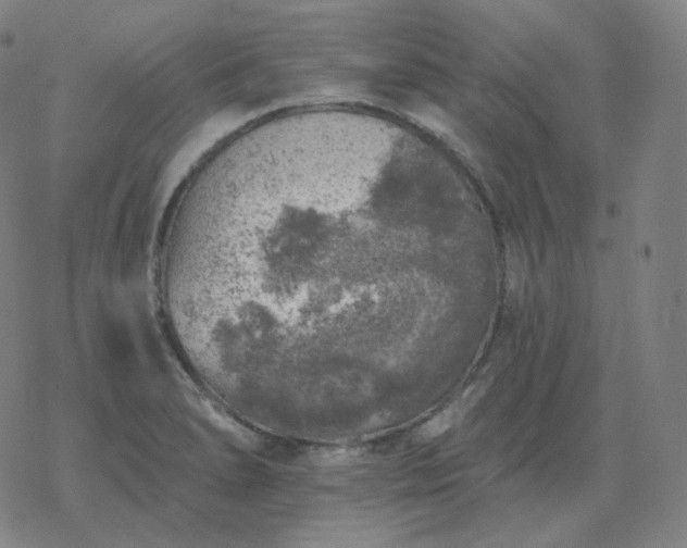 X0000068891278200605122024