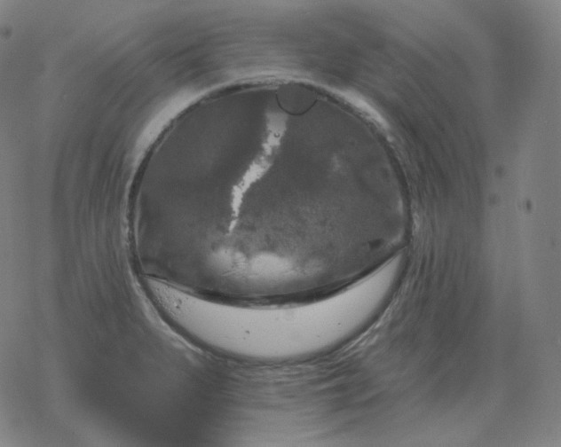 X0000068891279200605122024