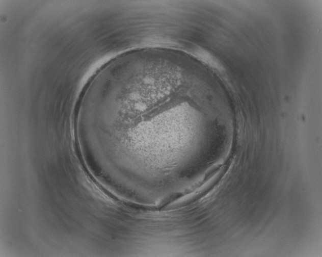 X0000068891280200605122024