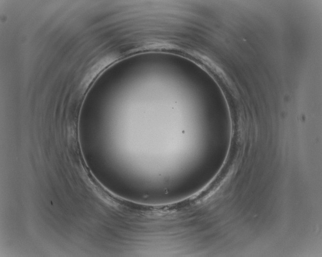 X0000068891281200605122024