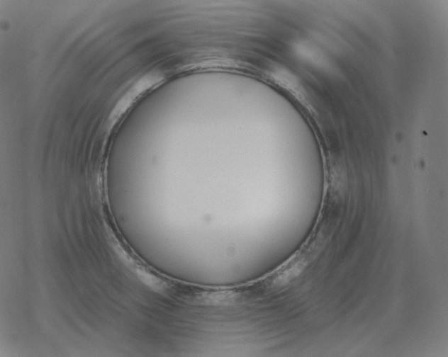 X0000068891282200605122024