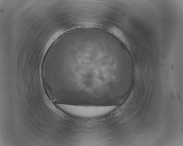 X0000068891283200605122024