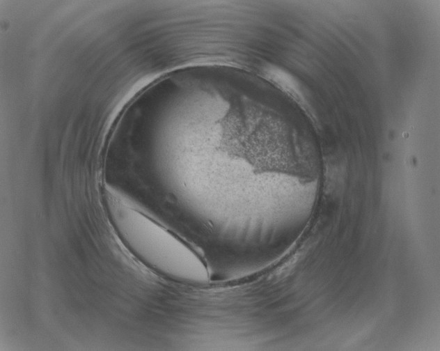 X0000068891284200605122024