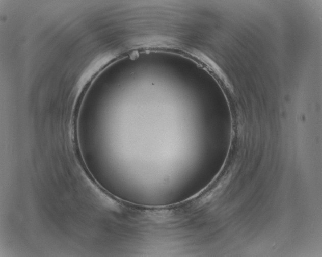 X0000068891285200605122024