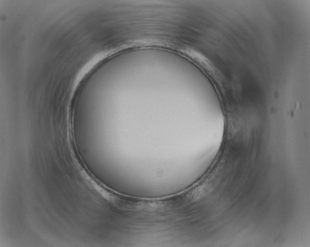 X0000068891286200605122024