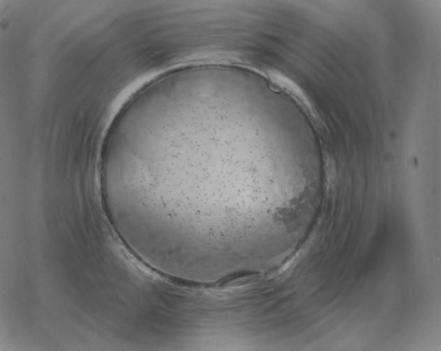 X0000068891288200605122024