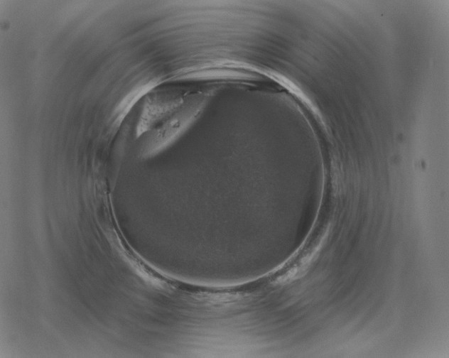 X0000068891289200605122024