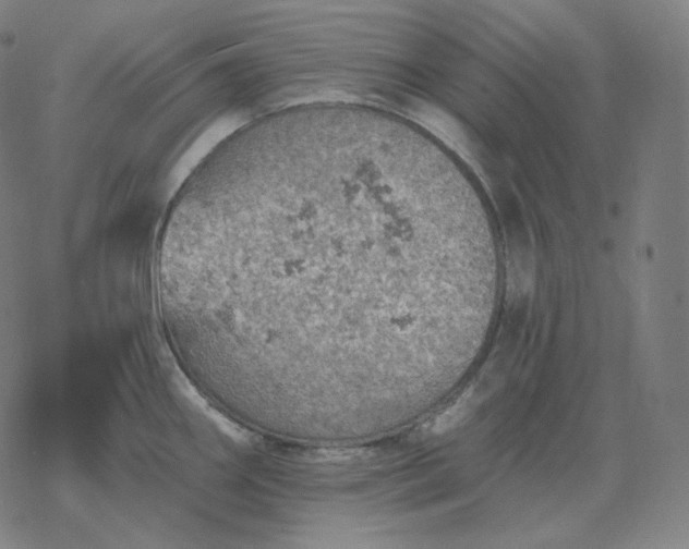 X0000068891290200605122024