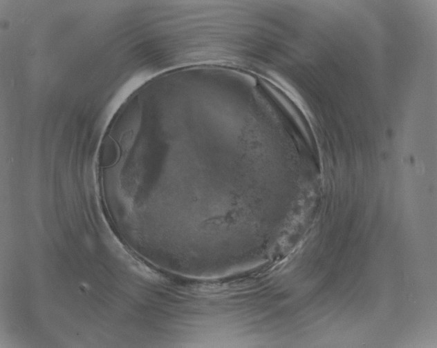 X0000068891291200605122024