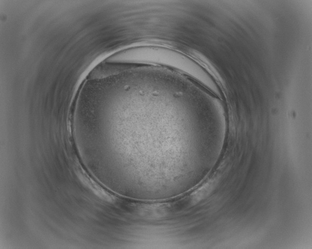 X0000068891292200605122024