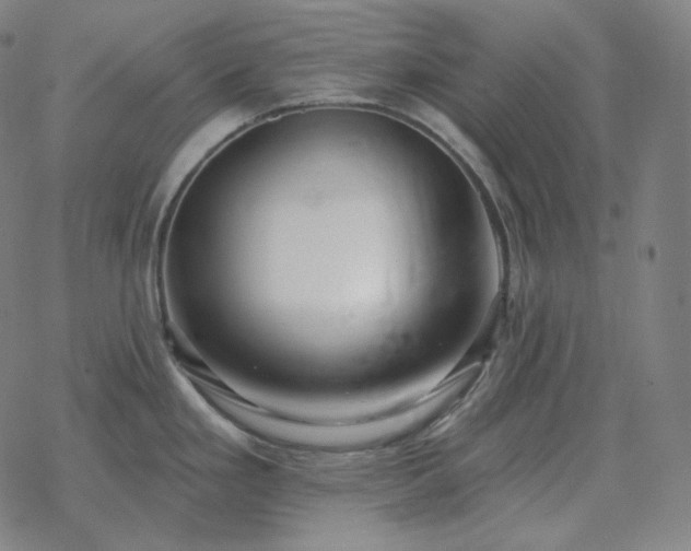 X0000068891293200605122024