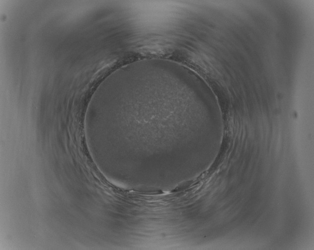 X0000068891297200605122023