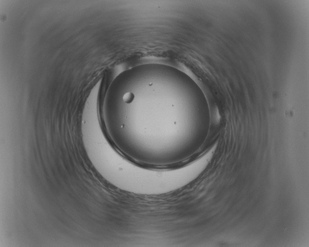 X0000068891298200605122023