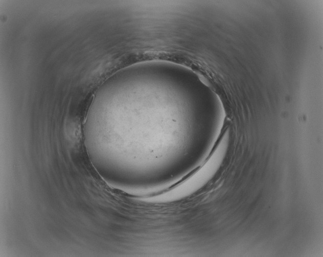 X0000068891299200605122023