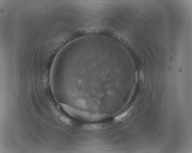 X0000068891300200605122023