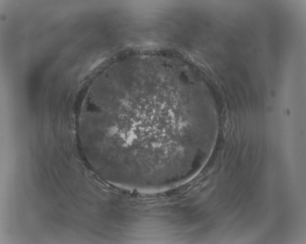 X0000068891301200605122023