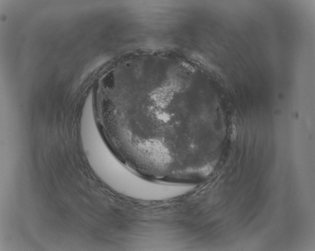 X0000068891302200605122023