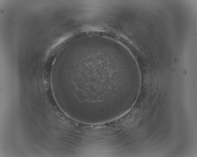 X0000068891303200605122023