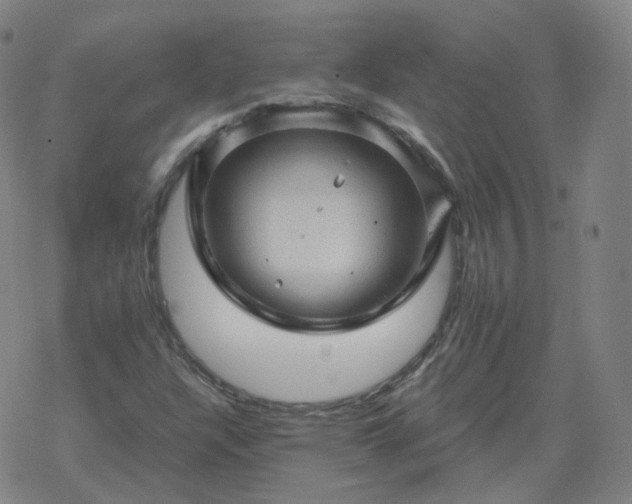 X0000068891304200605122023