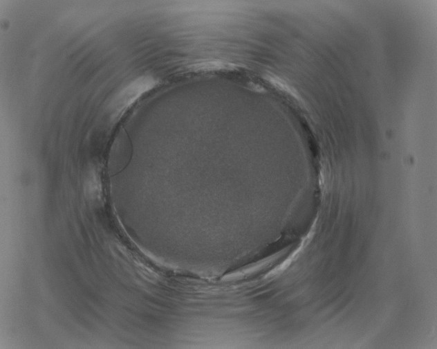 X0000068891305200605122023