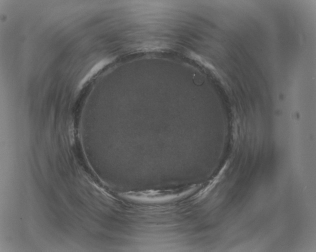 X0000068891306200605122023