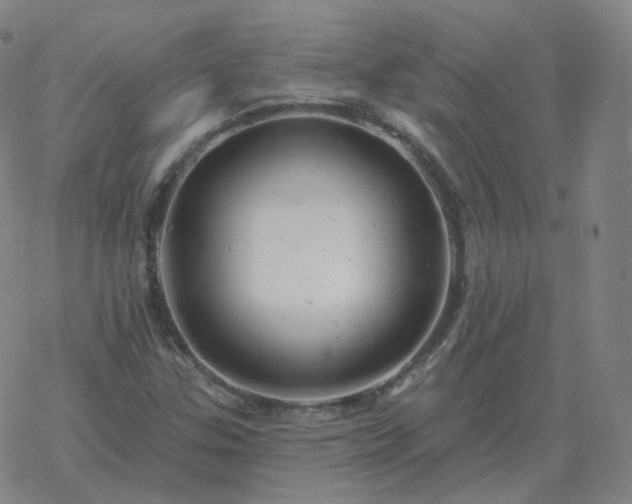 X0000068891307200605122023