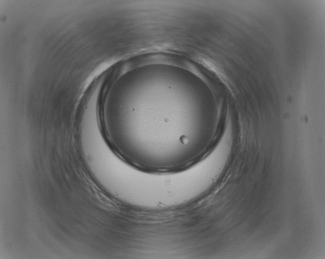 X0000068891308200605122023