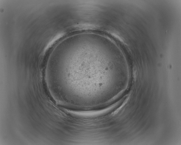 X0000068891309200605122023