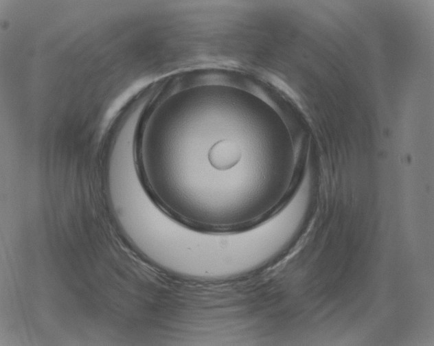 X0000068891310200605122023