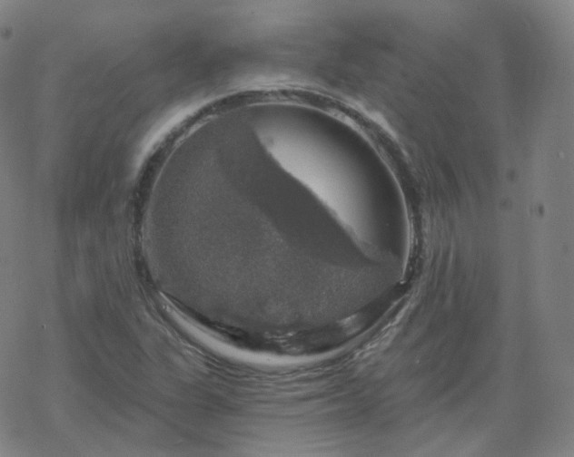 X0000068891311200605122023