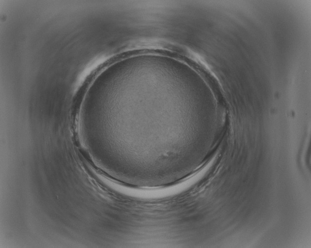 X0000068891312200605122023