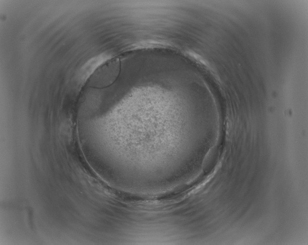 X0000068891313200605122023