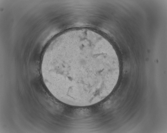 X0000068891314200605122024