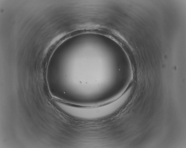 X0000068891315200605122024