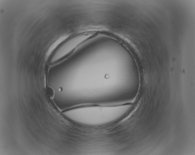 X0000068891317200605122024