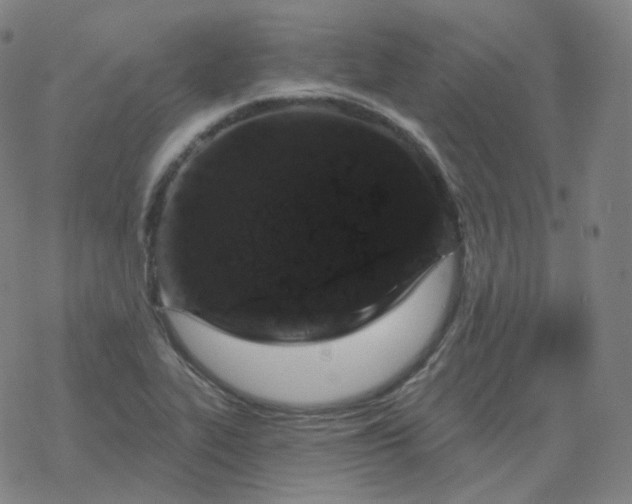 X0000068891319200605122024