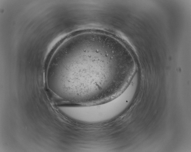 X0000068891320200605122024