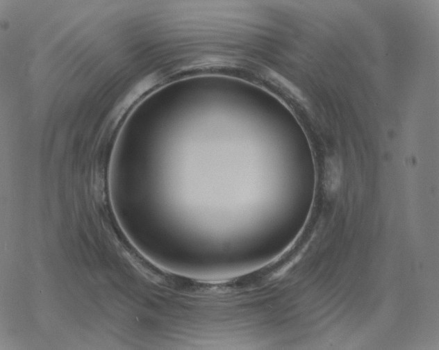 X0000068891321200605122024