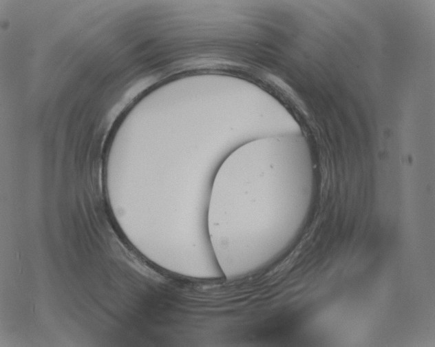 X0000068891322200605122024