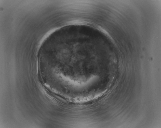 X0000068891323200605122024