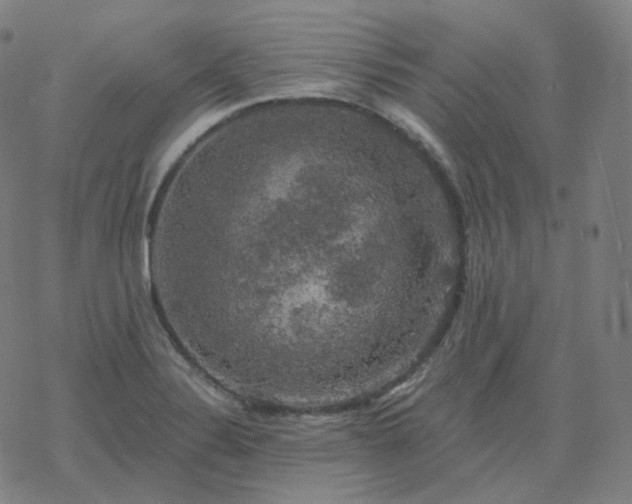 X0000068891324200605122024