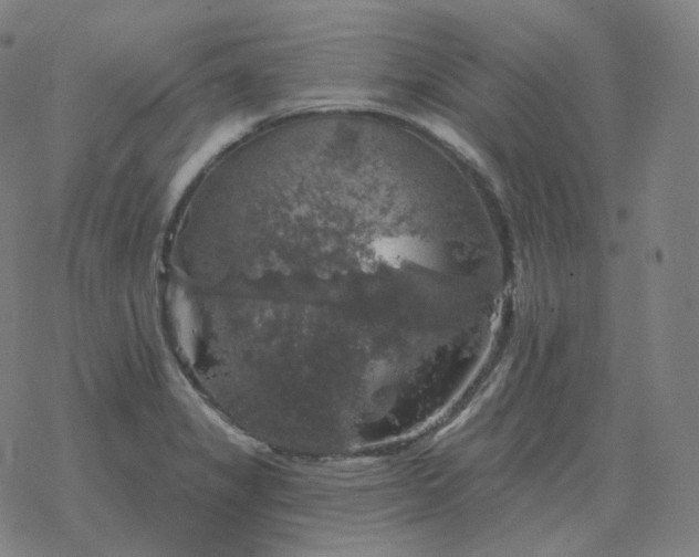 X0000068891325200605122024