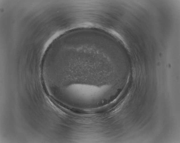 X0000068891326200605122024