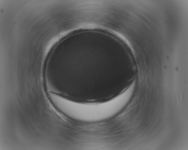 X0000068891327200605122024